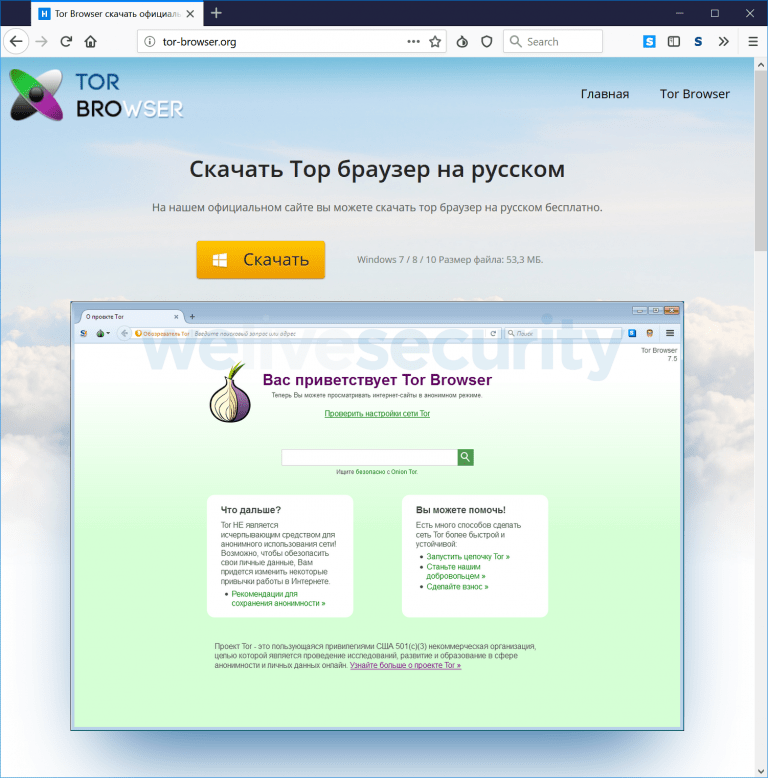 Fake Tor Browser