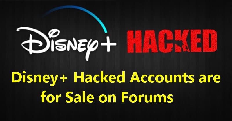 Disney+ Accounts being Hacked and Put on Sale on Forums