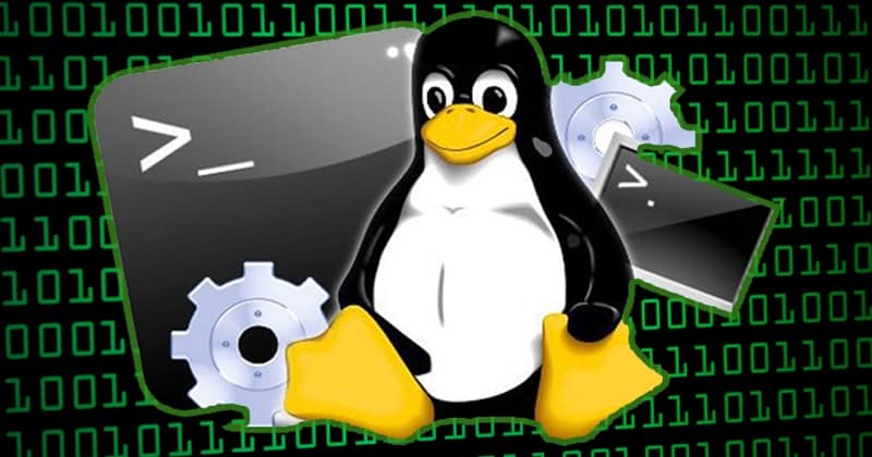 Linux Vulnerability