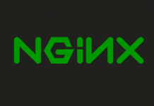 Co-Founders Of Nginx Detained
