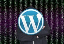 Hackers Are Targeting an Abandoned WordPress Plugin to Exploit