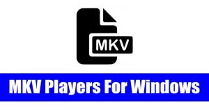 good mkv video players