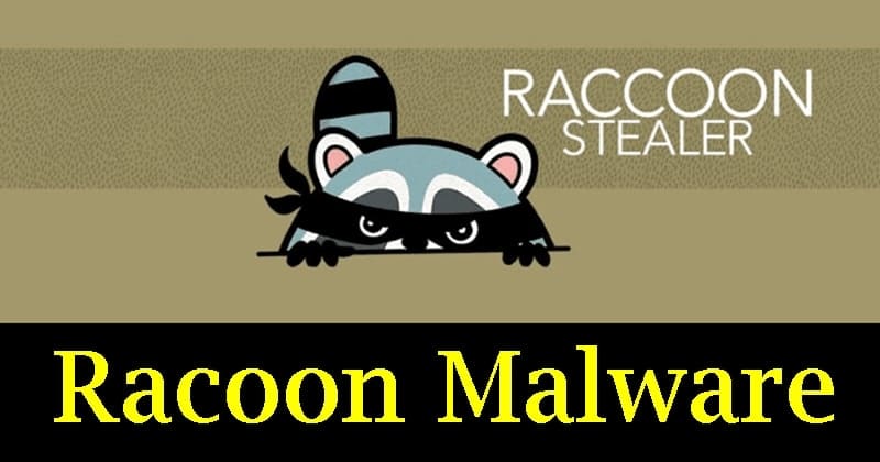 Racoon Stealer Malware
