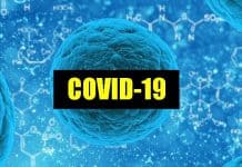 Coronavirus Epidemic Now Puts Stress on VPN Servers Too