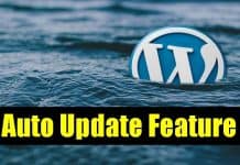 WordPress Going to Introduce Auto-Update Feature for Themes and Plugins