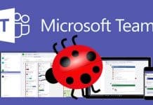 Microsoft Teams GIF Bug