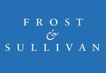 Both Employees and Customers Database of Frost and Sullivan Leaked Online