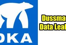 Dussmann Group's Data Leaked in Ransomware Attack