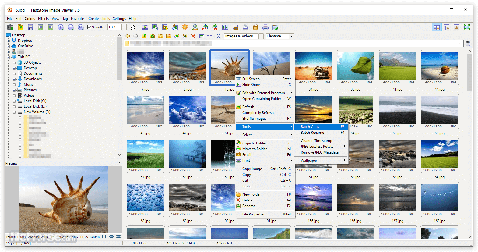 Fast Stone image viewer