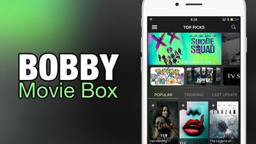 Bobby Movie Box