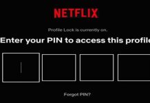 Lock Your Netflix Profile Using a PIN Code