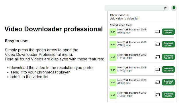 Video Downloader Professional