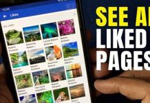 See Liked Pages on Facebook