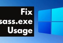 How to Fix Lsass.exe High CPU Usage Issue in Windows 11