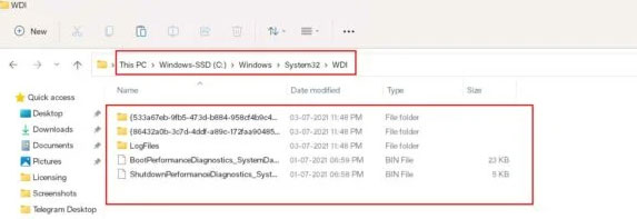 Delete WDI directory Files