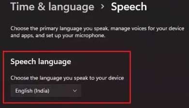 speech language