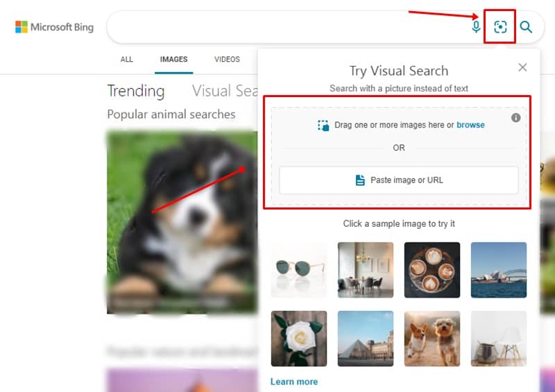 bing image search