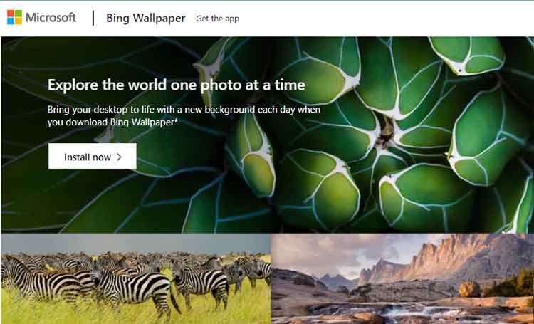 How to Download / Use Bing Wallpaper in Windows 11