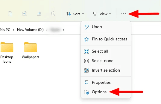 Windows File Explorer and navigate to More > Options