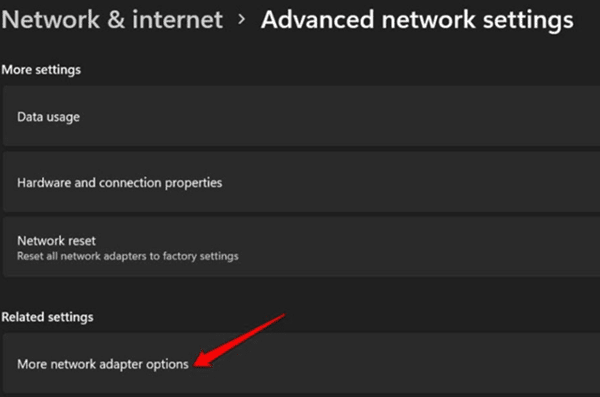 more network adapter options (1)