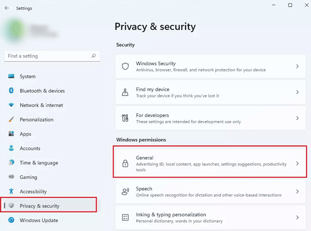 Privacidad y seguridad: opción general