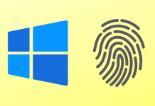Remove Fingerprint Recognition Sign-in with Windows 11