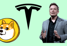 Tesla Started Selling its Merchandise with Only Dogecoin as Payment Option