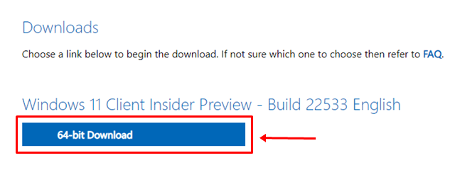 windows 11 iso insider preview build download