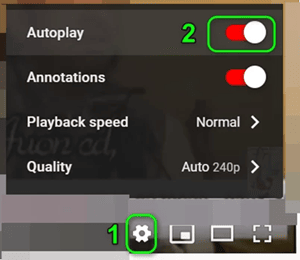settings - autoplay switch