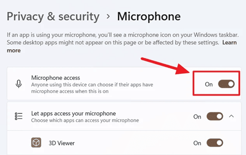 turn on allow microphone app