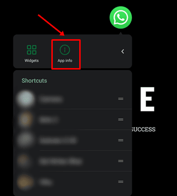 whatsapp app info