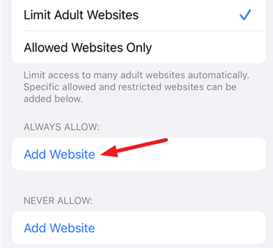How To Block Websites on iPhone   TechDator - 40