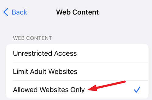 Allowed Websites Only