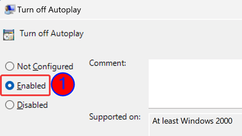 Turn-off-Autoplay - enabled