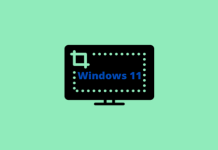 How To Take Screenshot on Windows 11 PC