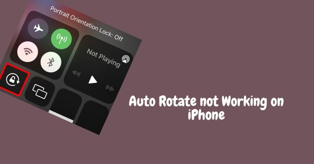 Auto Rotate not Working on iPhone