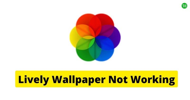 Lively Wallpaper Not Working