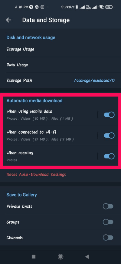 Disable Automatic Media Download