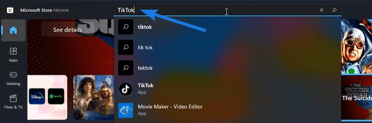 Download TikTok for PC