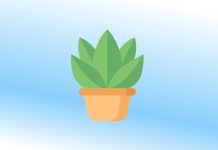 Best Plant Care Apps