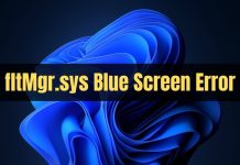 fltMgr.sys Blue Screen Error on Windows 11/10
