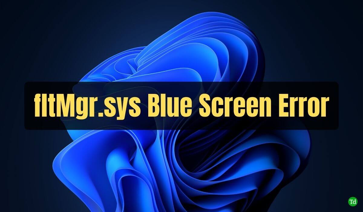fltMgr.sys Blue Screen Error on Windows 11/10