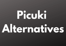 Picuki Alternatives