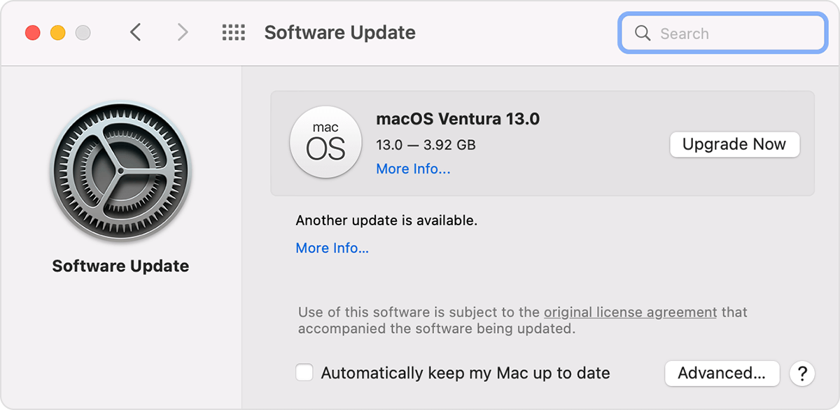 click on Update Now or Upgrade Now