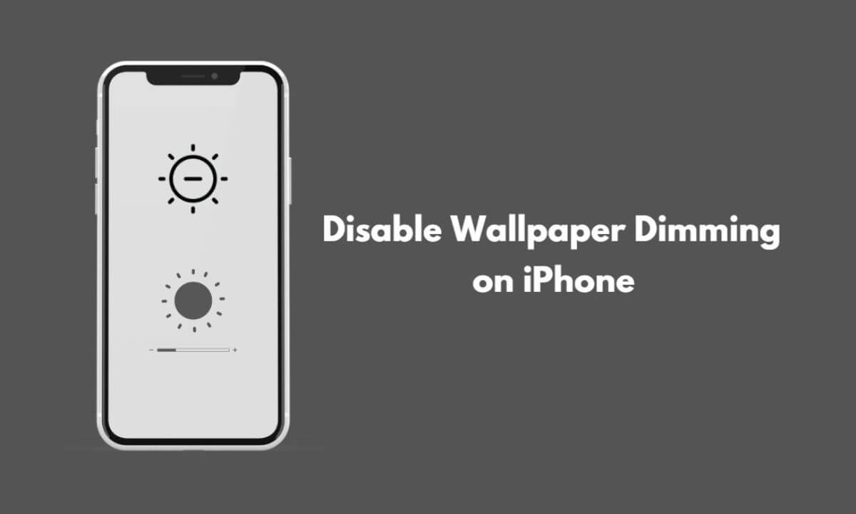iPhone is disabled Easter Egg by Ivan Witteborg on Dribbble