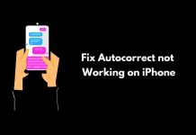 How to Fix Autocorrect not Working on iPhone