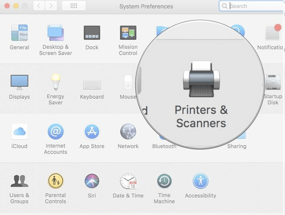 Printer & Scanner