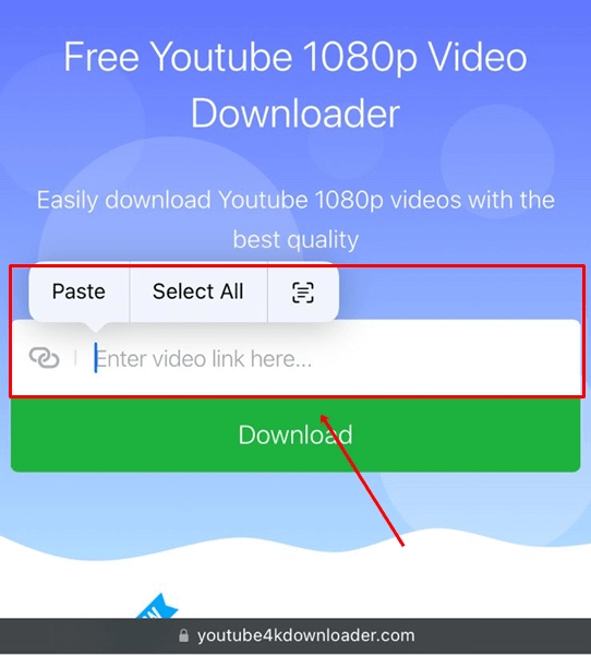 Paste that link on this website