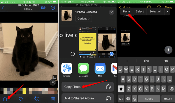 copy and paste photos in iPhone
