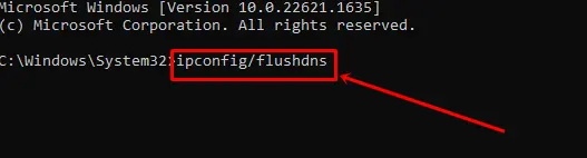 Type the command ipconfig flushdns
